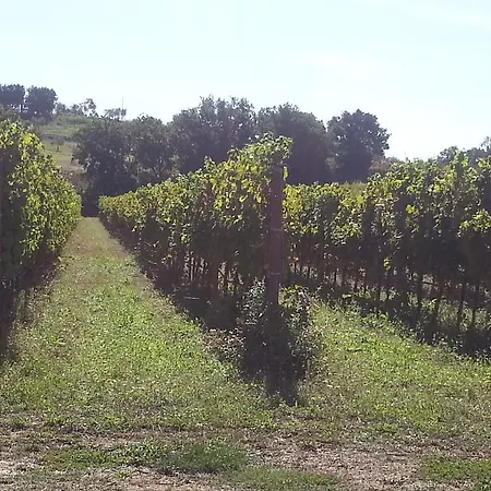 San Leonardo Alloggio per agriturismo