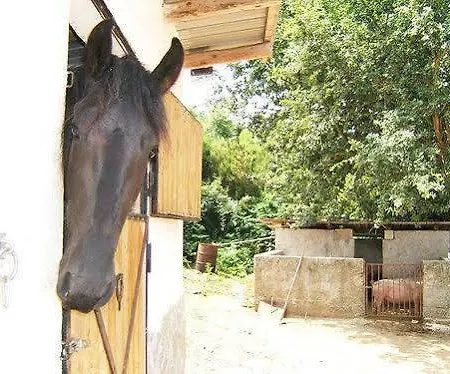 San Leonardo Alloggio per agriturismo Centola