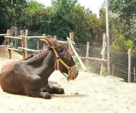 San Leonardo בית חווה *