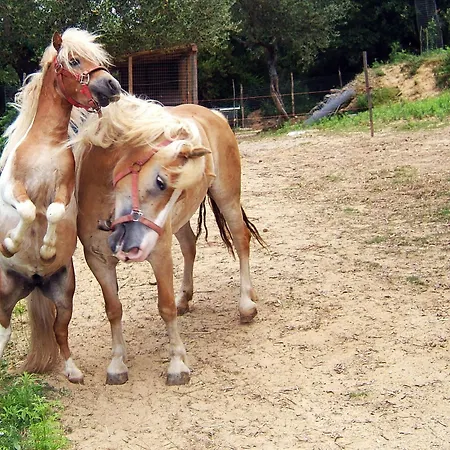 Alloggio per agriturismo San Leonardo