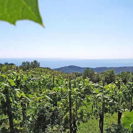 Alloggio per agriturismo San Leonardo Centola