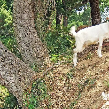Agroturismo San Leonardo