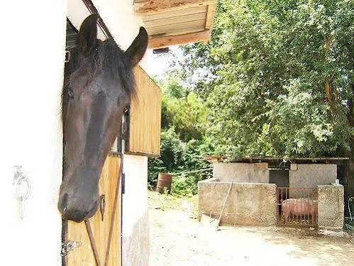 San Leonardo Agroturismo Centola