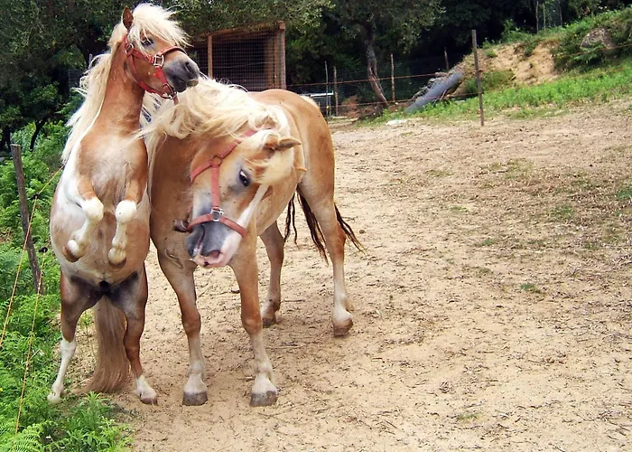 Agroturismo San Leonardo
