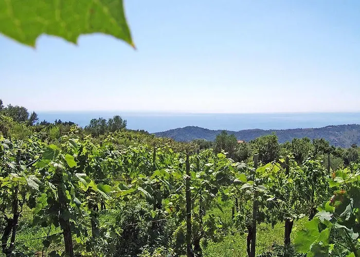 Agroturismo San Leonardo Centola